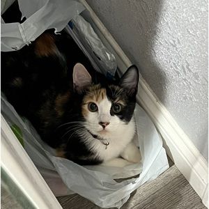 Meet your Posher, Teresa